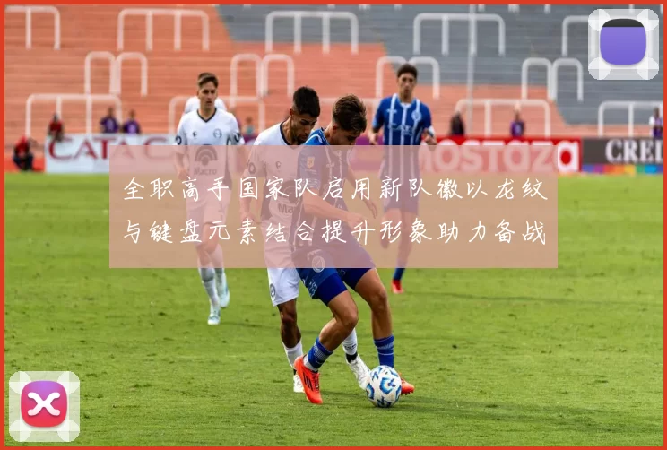 全职高手国家队启用新队徽以龙纹与键盘元素结合提升形象助力备战国际赛