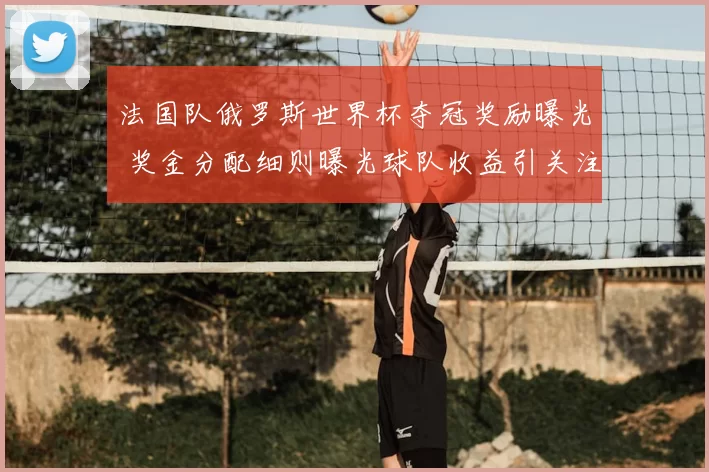 法国队俄罗斯世界杯夺冠奖励曝光 奖金分配细则曝光球队收益引关注