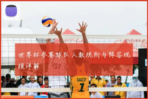 世界杯参赛球队人数规则与阵容规模详解