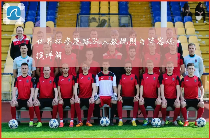 世界杯参赛球队人数规则与阵容规模详解