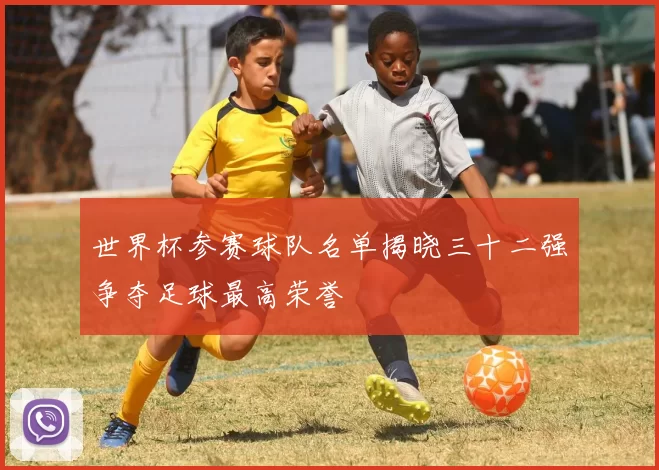 世界杯参赛球队名单揭晓三十二强争夺足球最高荣誉