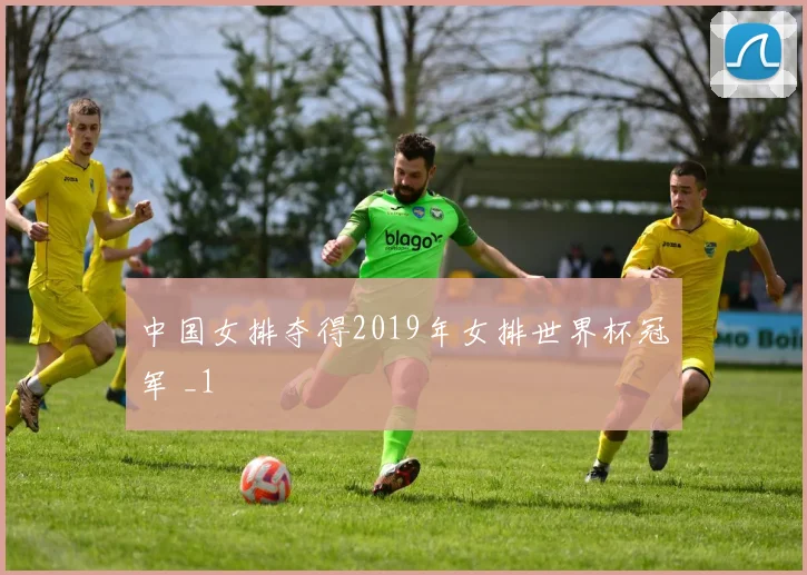 中国女排夺得2019年女排世界杯冠军 _1