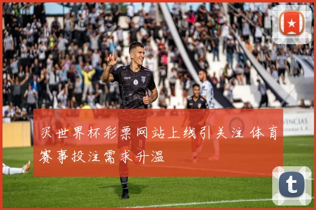买世界杯彩票网站上线引关注 体育赛事投注需求升温