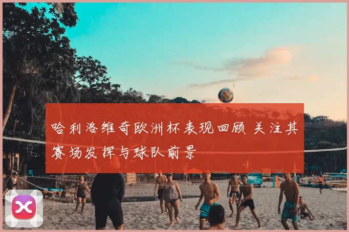 哈利洛维奇欧洲杯表现回顾 关注其赛场发挥与球队前景