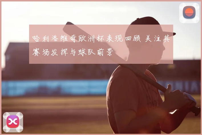 哈利洛维奇欧洲杯表现回顾 关注其赛场发挥与球队前景