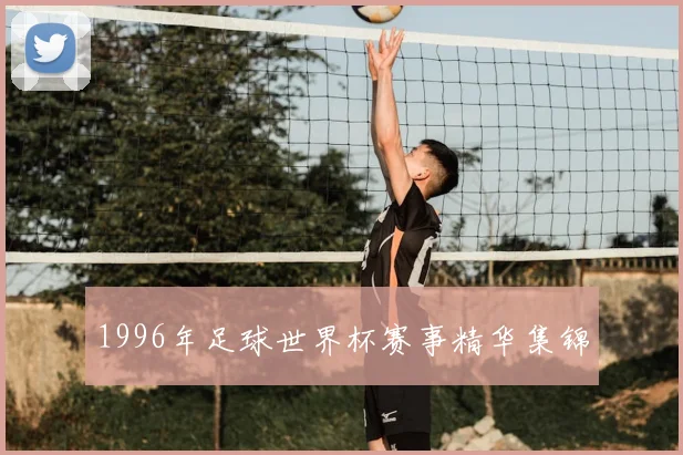 1996年足球世界杯赛事精华集锦