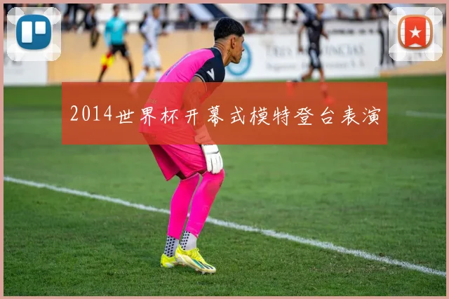 2014世界杯开幕式模特登台表演