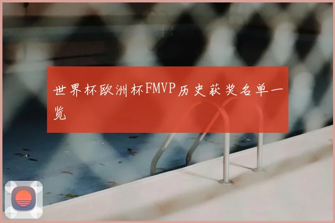 世界杯欧洲杯FMVP历史获奖名单一览